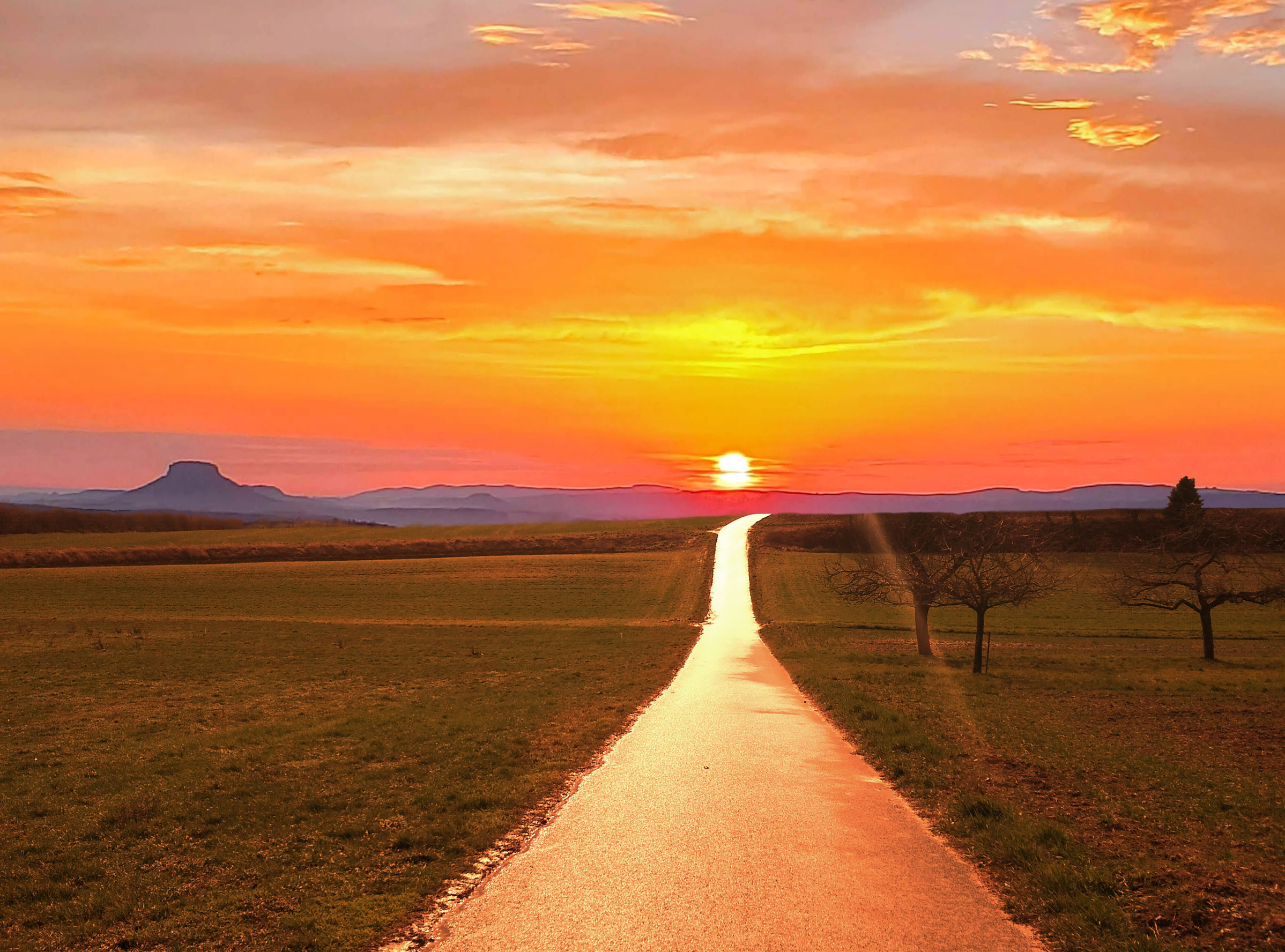 Golden path into the sunset